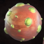 1997den-sonra-yeniden-gundemde-hantavirus-pandemiye-donusur-mu-rhUKMKkM.jpg