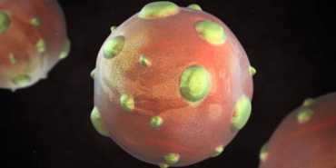 1997den-sonra-yeniden-gundemde-hantavirus-pandemiye-donusur-mu-rhUKMKkM.jpg