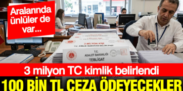 3-milyon-tc-kimlik-belirlendi-100-bin-tl-ceza-odeyecekler-AaTEmQTN.jpg