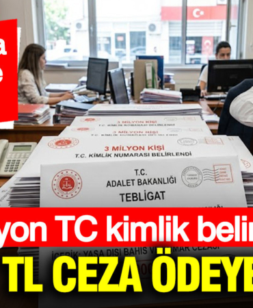 3-milyon-tc-kimlik-belirlendi-100-bin-tl-ceza-odeyecekler-AaTEmQTN.jpg