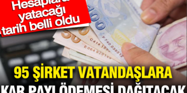 95-sirket-vatandaslara-kar-payi-odemesi-dagitacak-hesaplara-yatacagi-tarih-belli-oldu-6kPh3r3X.jpg