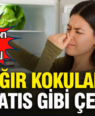 agir-kokulari-miknatis-gibi-cekiyor-ne-karbon-filtre-ne-kimyasal-nbd1q5eM.jpg