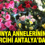anneler-gununun-gozdesi-yine-degismedi-pbA7LFF1.jpg