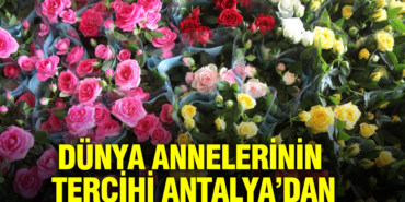 anneler-gununun-gozdesi-yine-degismedi-pbA7LFF1.jpg