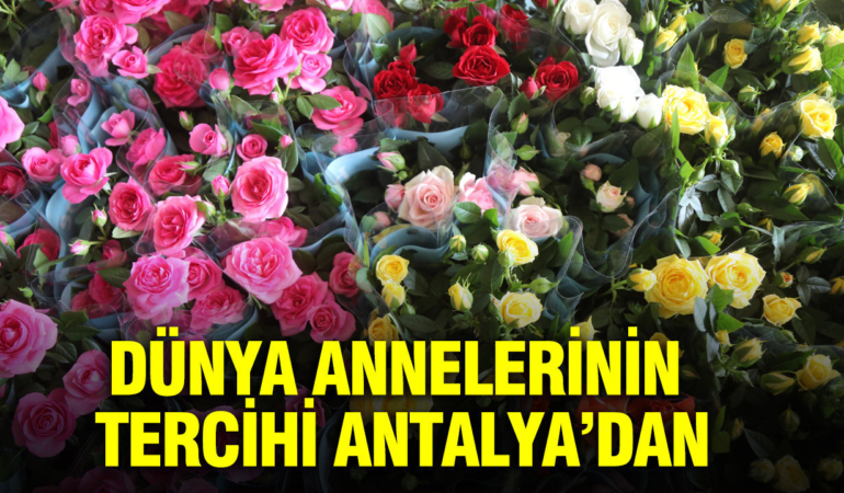 anneler-gununun-gozdesi-yine-degismedi-pbA7LFF1.jpg