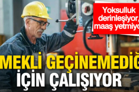 arastirma-ortaya-koydu-emekliler-calismak-zorunda-kaliyor-xBCwvS1i.jpg