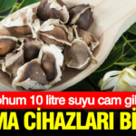 aritma-cihazlari-tamamen-bitiyor-tek-bir-tohum-10-litre-suyu-cam-gibi-yapiyor-YxILc4sf.jpg