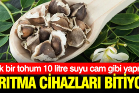 aritma-cihazlari-tamamen-bitiyor-tek-bir-tohum-10-litre-suyu-cam-gibi-yapiyor-YxILc4sf.jpg