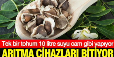 aritma-cihazlari-tamamen-bitiyor-tek-bir-tohum-10-litre-suyu-cam-gibi-yapiyor-YxILc4sf.jpg