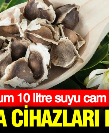 aritma-cihazlari-tamamen-bitiyor-tek-bir-tohum-10-litre-suyu-cam-gibi-yapiyor-YxILc4sf.jpg