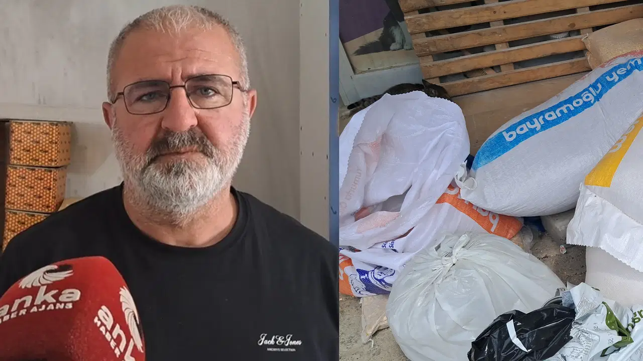 artvinde-hayvancilik-alarm-veriyor-calisan-degil-parasini-bekleten-kazaniyor-DFkFL7xc.jpg