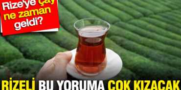 cay-rizeye-ne-zaman-geldi-rizeli-bu-yoruma-cok-kizacak-J1kPmT6Z.jpg