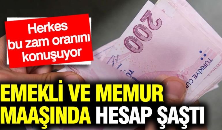 emekli-ve-memur-maasi-zamminda-hesap-sasti-uzman-isim-ekstra-eklenebilir-dedi-QTI9jmZC.jpg
