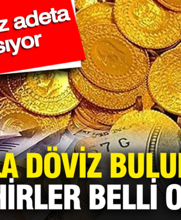 en-fazla-doviz-bulunduran-sehirler-belli-oldu-bu-illerimiz-adeta-para-basiyor-f4rNLmxr.jpg
