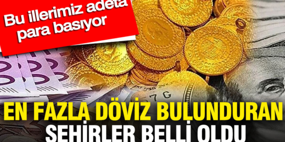 en-fazla-doviz-bulunduran-sehirler-belli-oldu-bu-illerimiz-adeta-para-basiyor-f4rNLmxr.jpg