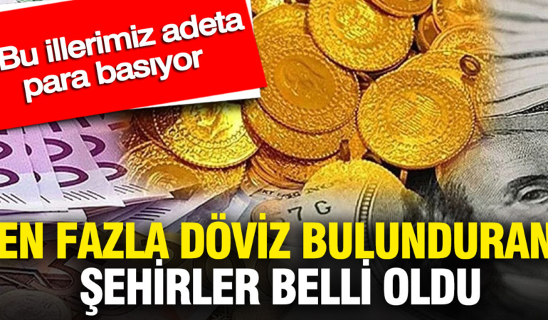 en-fazla-doviz-bulunduran-sehirler-belli-oldu-bu-illerimiz-adeta-para-basiyor-f4rNLmxr.jpg