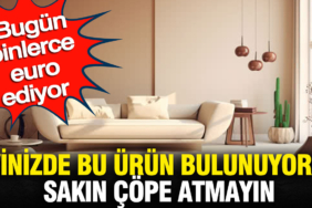 evinizde-bulunuyorsa-bu-urunu-sakin-cope-atmayin-bugun-binlerce-euro-ediyor-WuXr9CPG.jpg