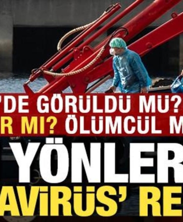 hantavirus-rehberi-turkiyede-goruldu-mu-nasil-bulasiyor-asisi-var-mi-olumcul-mu-CzkYwmvp.jpg