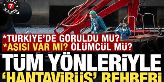 hantavirus-rehberi-turkiyede-goruldu-mu-nasil-bulasiyor-asisi-var-mi-olumcul-mu-CzkYwmvp.jpg