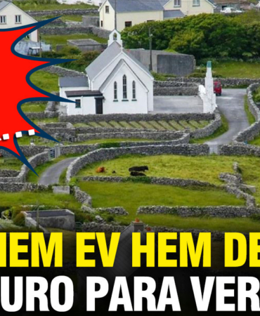 hem-ev-hem-de-84-bin-euro-para-veriyorlar-tek-sart-verilen-evde-oturmak-9Y6X4DKr.jpg