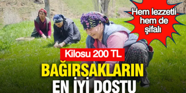hem-lezzetli-hem-de-sifali-bagirsaklarin-en-iyi-dostu-kilosu-200-tl-5KWFlSqY.jpg