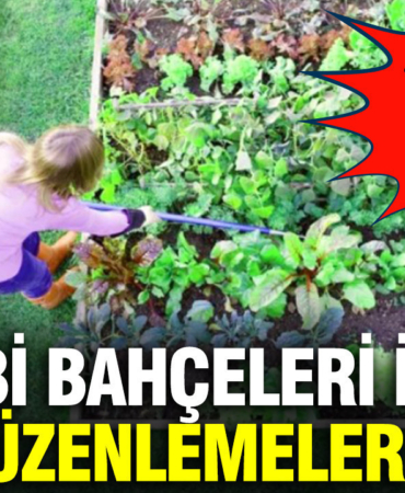 hobi-bahceleri-icin-yeni-duzenlemeler-yolda-ayrintilar-ortaya-cikti-tnIzhRAi.jpg