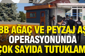 ibb-agac-ve-peyzaj-as-operasyonunda-cok-sayida-tutuklama-N3381HZA.jpg