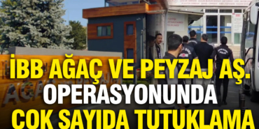 ibb-agac-ve-peyzaj-as-operasyonunda-cok-sayida-tutuklama-N3381HZA.jpg
