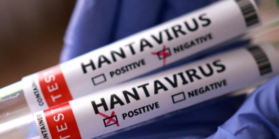 ingilterede-yeni-hantavirus-vakasi-gRcEJVlq.jpg