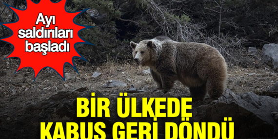 japonyada-kabus-geri-dondu-ayi-saldirilari-basladi-xdCR1GgI.jpg