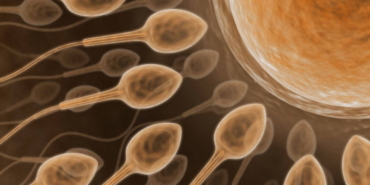 kisirlik-tedavisinde-yeni-teknoloji-yapay-zekayla-sperm-bulunuyor-EnYPINvJ.jpg