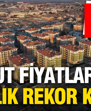 konut-fiyatlarinda-5-yillik-rekor-kirildi-hem-fiyatlar-dustu-hem-lider-degisti-ZRIqQTRl.jpg