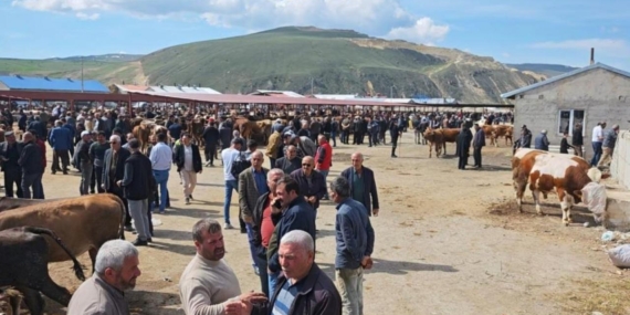 kurban-pazarlarinda-hareketlilik-basladi-beSJAHBC.jpg