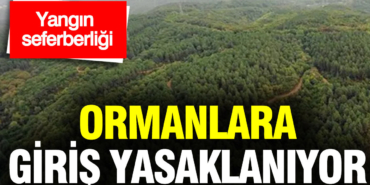 muglada-bazi-ormanlara-giris-yasaklanacak-2hNL5W5A.jpg