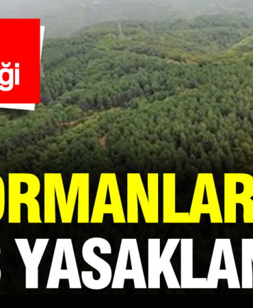 muglada-bazi-ormanlara-giris-yasaklanacak-2hNL5W5A.jpg
