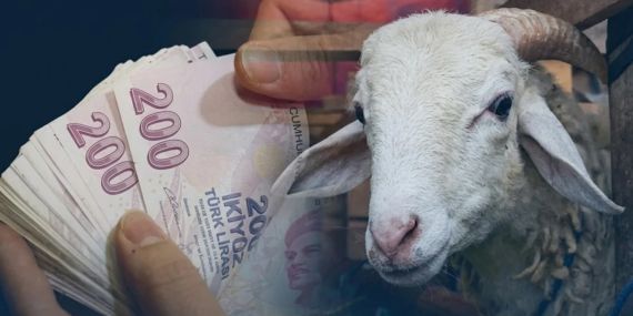 musta-kurbanlik-seferberligi-50-bin-hayvan-yola-cikti-fiyatlar-200-bin-tlden-basliyor-7b7wzZp4.jpg