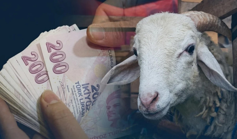 musta-kurbanlik-seferberligi-50-bin-hayvan-yola-cikti-fiyatlar-200-bin-tlden-basliyor-7b7wzZp4.jpg