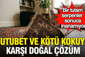 rutubet-ve-kotu-kokuya-karsi-dogal-cozum-bir-tutam-serpenler-sonuca-inanamiyor-Ml9gOmA7.jpg