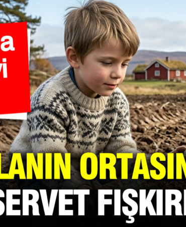 tarlanin-ortasindan-servet-fiskirdi-6-yasindaki-cocuk-hazineyi-buldu-PhtkBNAF.jpg