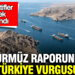 tepavin-hurmuz-raporunda-turkiye-vurgusu-alternatifler-tek-tek-siralandi-Wwfz2S93.jpg