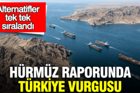 tepavin-hurmuz-raporunda-turkiye-vurgusu-alternatifler-tek-tek-siralandi-Wwfz2S93.jpg