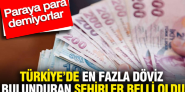 turkiyede-en-fazla-doviz-bulunduran-sehirler-belli-oldu-paraya-para-demiyorlar-knTHgg7T.jpg