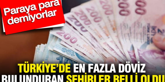 turkiyede-en-fazla-doviz-bulunduran-sehirler-belli-oldu-paraya-para-demiyorlar-knTHgg7T.jpg