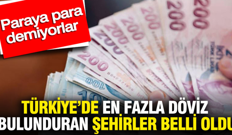 turkiyede-en-fazla-doviz-bulunduran-sehirler-belli-oldu-paraya-para-demiyorlar-knTHgg7T.jpg