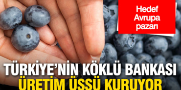 turkiyenin-koklu-bankasi-yuksek-teknolojili-uretim-tesisi-kuruyor-gyMJlb4T.jpg