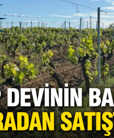 turkiyenin-koklu-sarap-markasinin-baglari-icradan-satisa-cikariliyor-rSNlWKM7.jpg