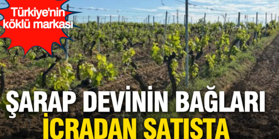 turkiyenin-koklu-sarap-markasinin-baglari-icradan-satisa-cikariliyor-rSNlWKM7.jpg