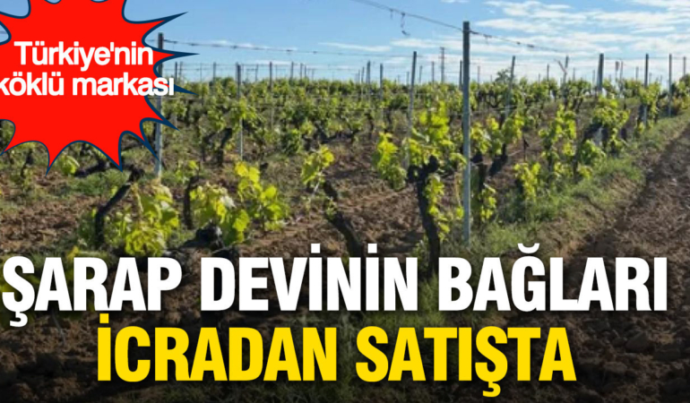 turkiyenin-koklu-sarap-markasinin-baglari-icradan-satisa-cikariliyor-rSNlWKM7.jpg