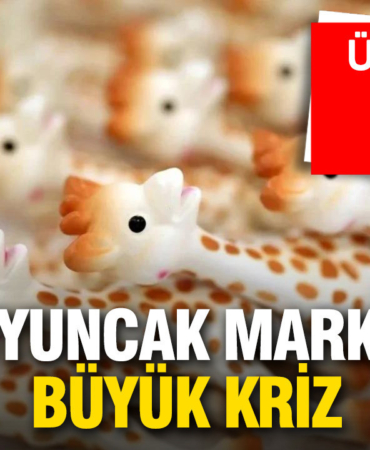 unlu-oyuncak-markasinda-buyuk-kriz-cinde-uretilmis-St2OBVJ1.jpg