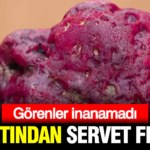 yeraltindan-servet-fiskirdi-tam-tamina-11-bin-karat-2vrGjk4H.jpg